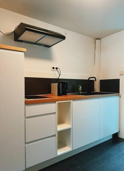Historic Serenity Apartment Gent Esterno foto